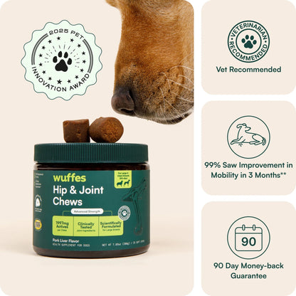 Hip & Joint Chews 60 Chews (Pack of 2)