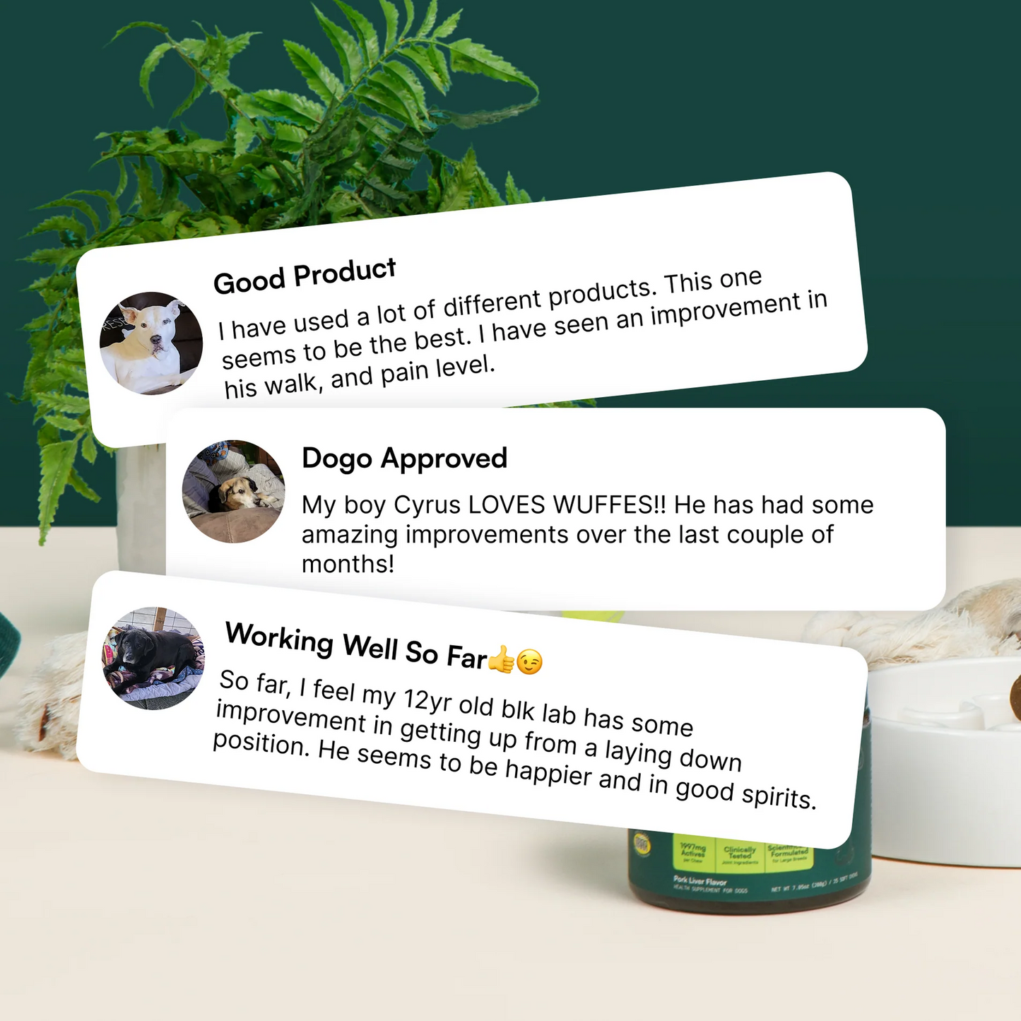 Hip & Joint Chews 60 Chews (Pack of 2)