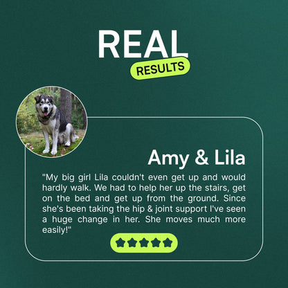 Hip & Joint Chews 60 Chews (Pack of 2)